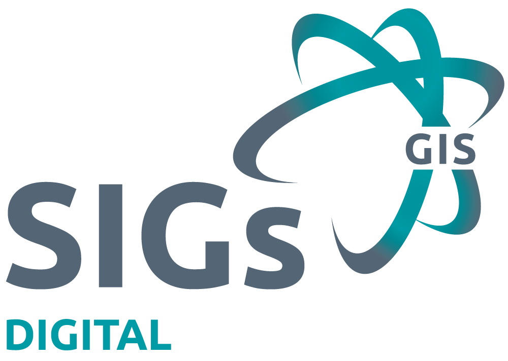  Geospatial Information System sub-group