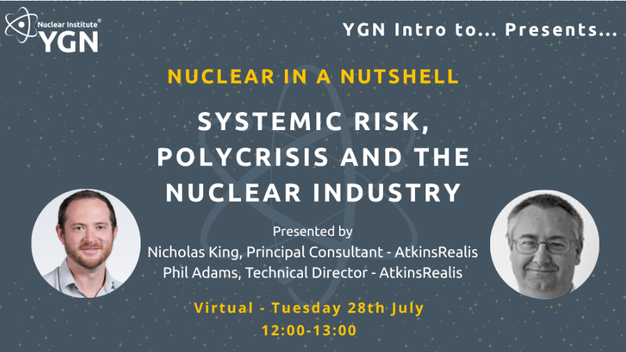 Nuclear in a Nutshell Systemic Risk, Polycrisis and the Nuclear Industry