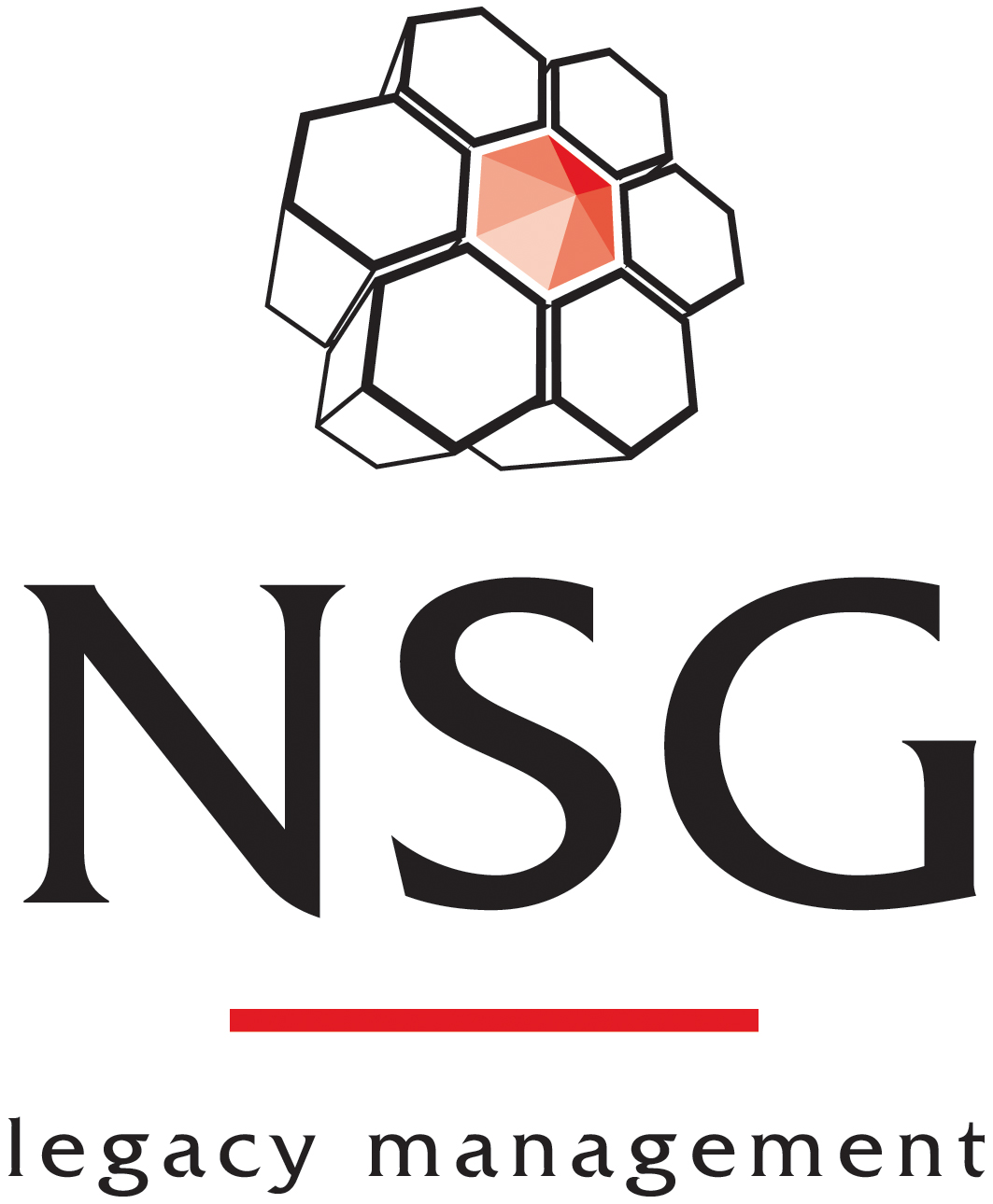 NSG Environmental Ltd logo