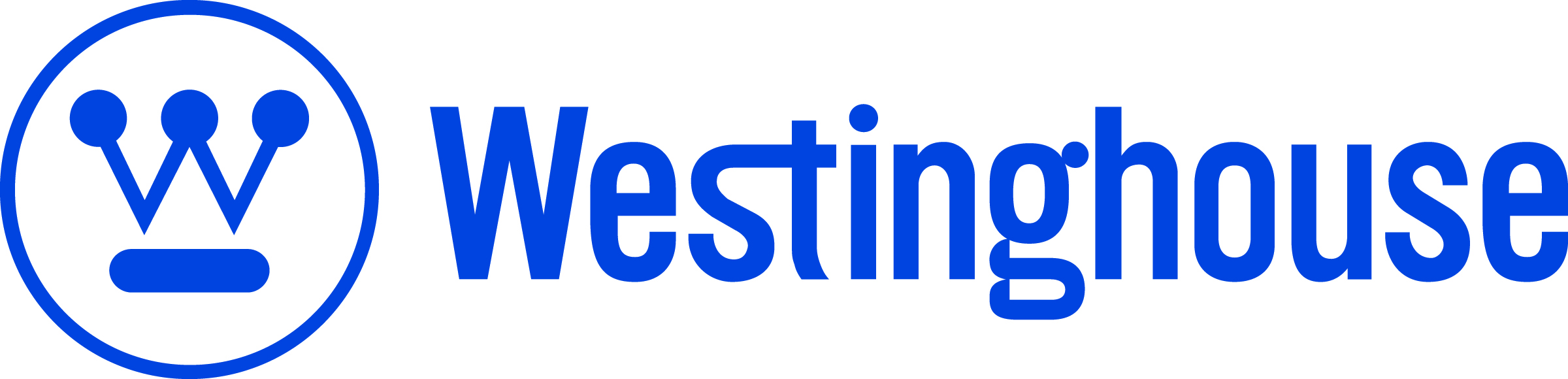 Westinghouse(co-sponsor)